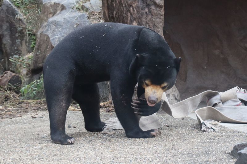 f:id:itsuwalove777:20210521062727j:plain