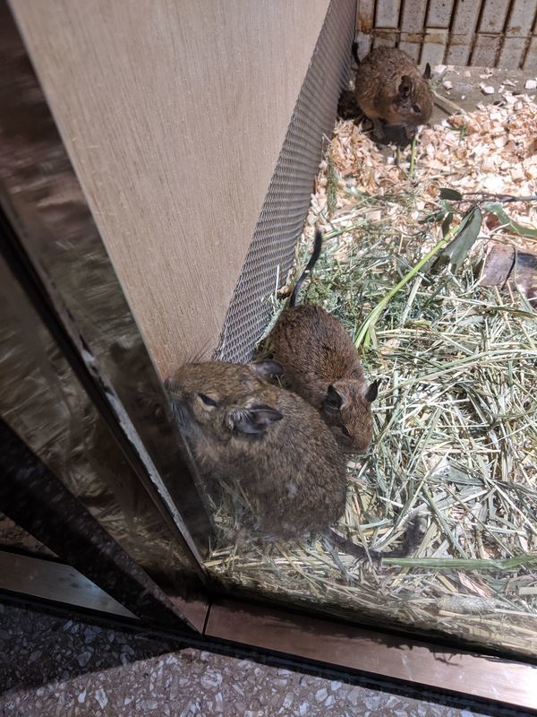 f:id:itsuwalove777:20210521231212j:plain