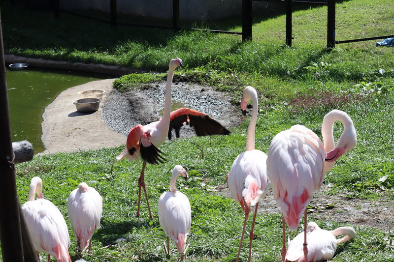 f:id:itsuwalove777:20210528033718j:plain