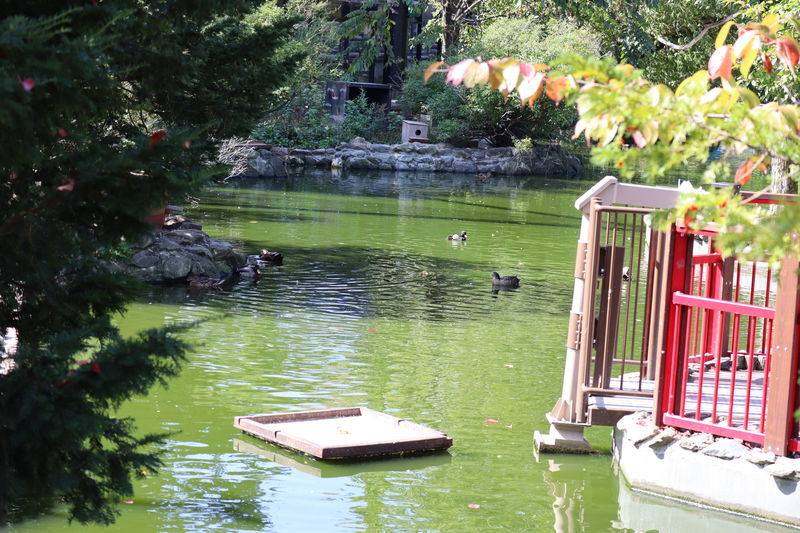 f:id:itsuwalove777:20210528040414j:plain