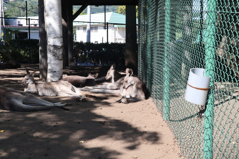 f:id:itsuwalove777:20210608215454j:plain