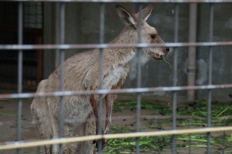 f:id:itsuwalove777:20210608215517j:plain