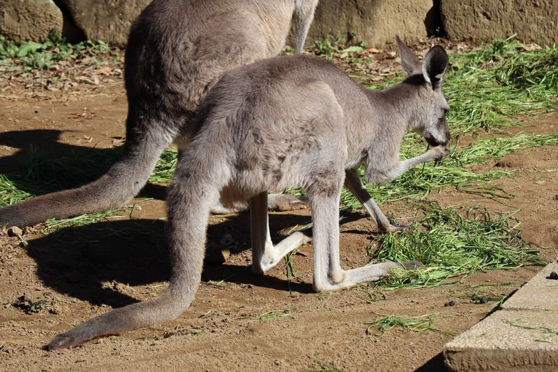 f:id:itsuwalove777:20210608215939j:plain