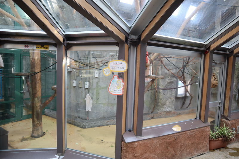 f:id:itsuwalove777:20210613080307j:plain