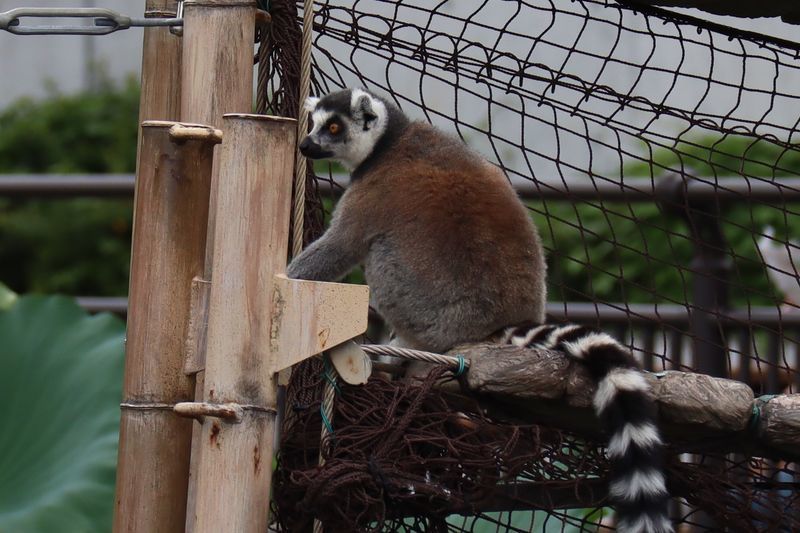 f:id:itsuwalove777:20210614210020j:plain