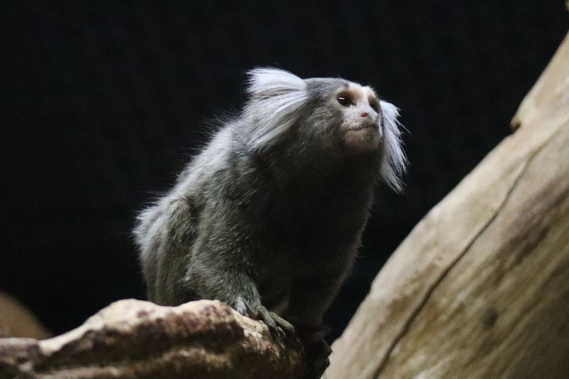 f:id:itsuwalove777:20210614220758j:plain