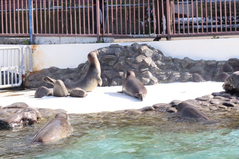 f:id:itsuwalove777:20210617033230j:plain