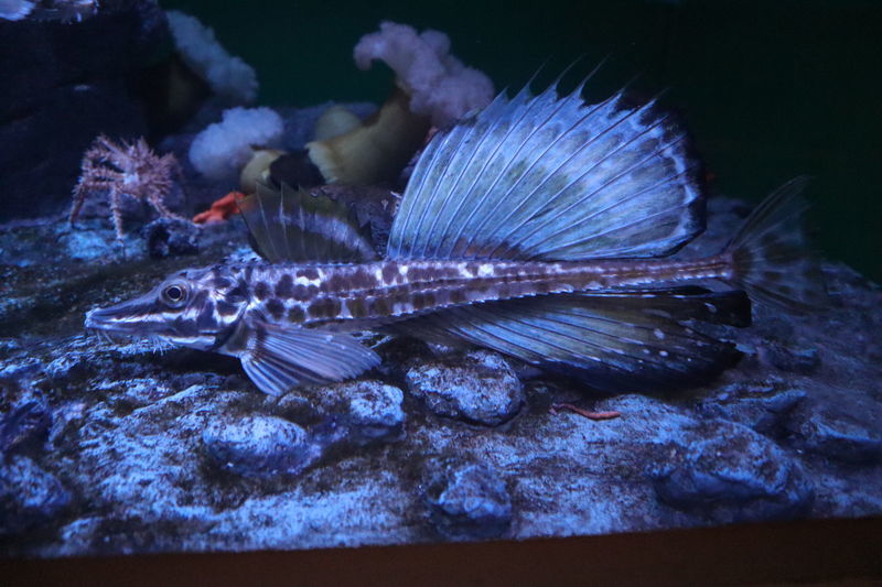 f:id:itsuwalove777:20210623220243j:plain