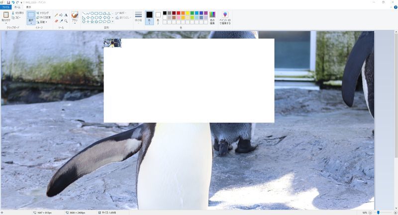 f:id:itsuwalove777:20210629214137j:plain