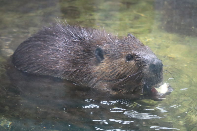 f:id:itsuwalove777:20210706121649j:plain