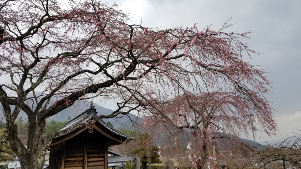 f:id:itto-inc:20180606162515j:plain