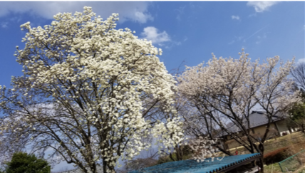 f:id:itto-inc:20180607145406p:plain