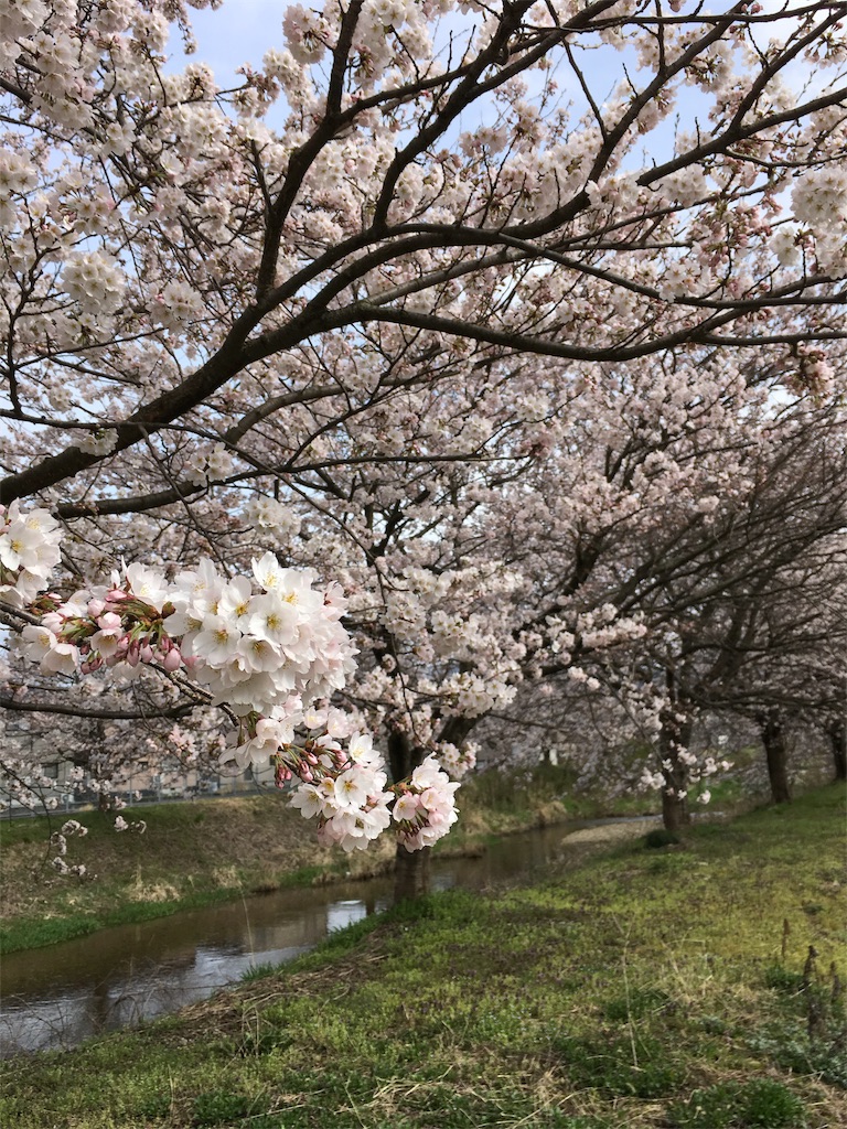 f:id:ittok:20170408162622j:image f:id:ittok:20170408162622j:image