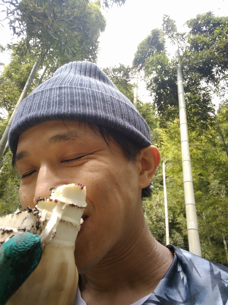 f:id:itukahaitaru:20180507014539j:plain f:id:itukahaitaru:20180507014539j:plain