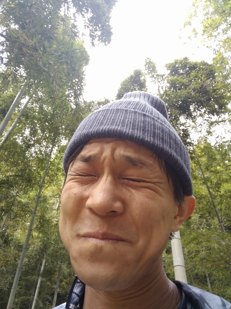f:id:itukahaitaru:20180507014608j:plain f:id:itukahaitaru:20180507014608j:plain