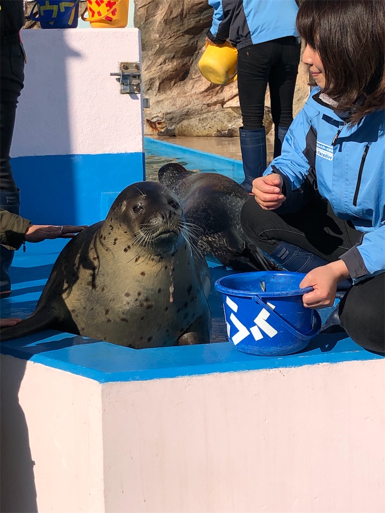 f:id:itukautyuuniikitaina:20190110161923j:image f:id:itukautyuuniikitaina:20190110161923j:image