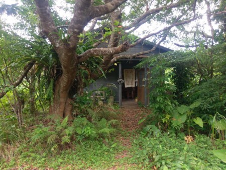 f:id:ituki:20180727180831j:image:w240 f:id:ituki:20180727180831j:image:w240