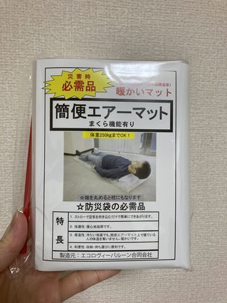 f:id:iuran:20210214130854j:plain