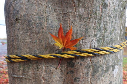 f:id:iuran:20211107151328j:plain