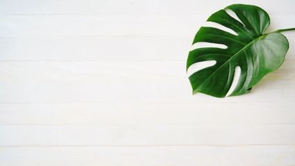 f:id:iuran:20220129174325j:plain