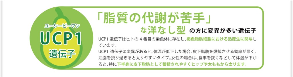 f:id:iuran:20250324150202j:image f:id:iuran:20250324150202j:image