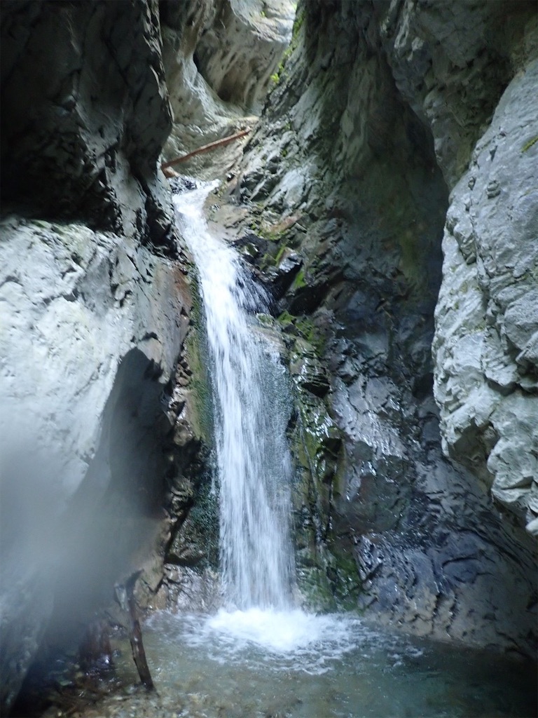 f:id:ivog:20220705185655j:image