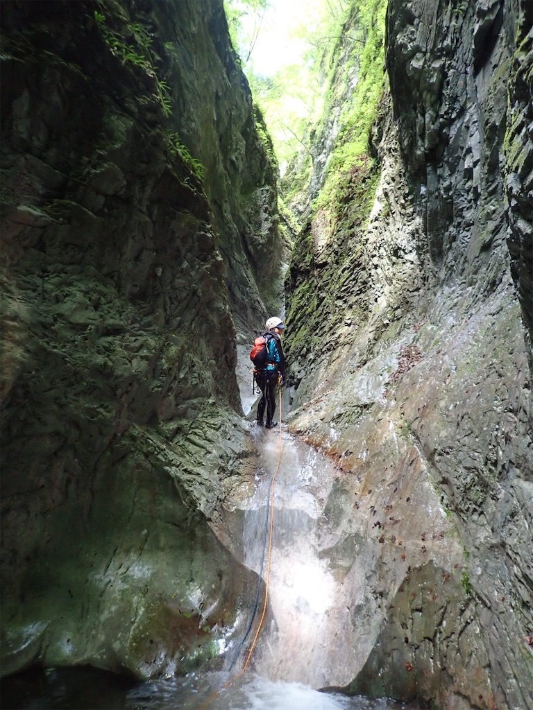 f:id:ivog:20220705210145j:image