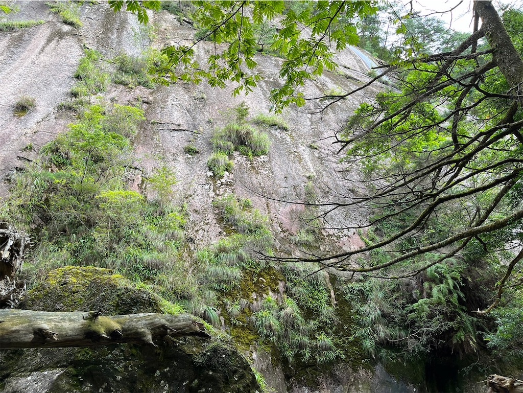 f:id:ivog:20241011081505j:image