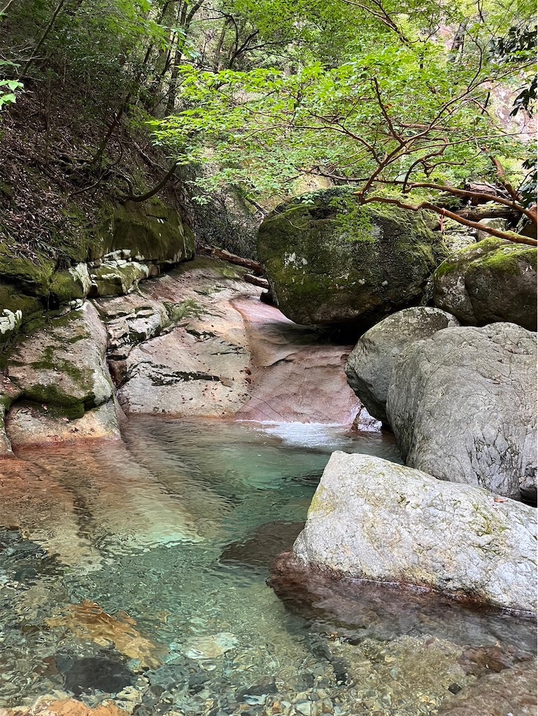 f:id:ivog:20241011081759j:image