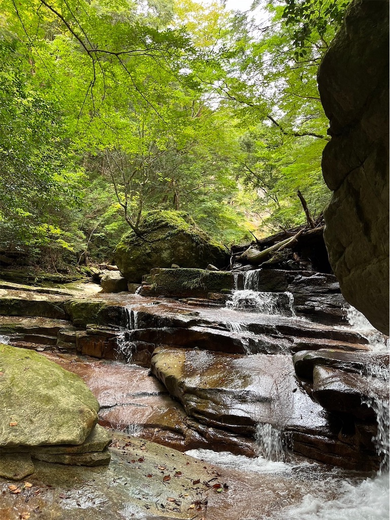 f:id:ivog:20241011081803j:image