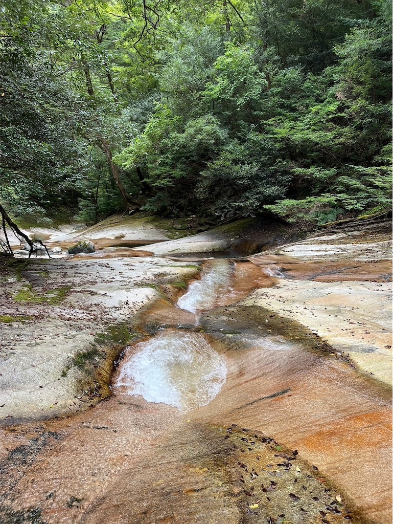 f:id:ivog:20241011082345j:image