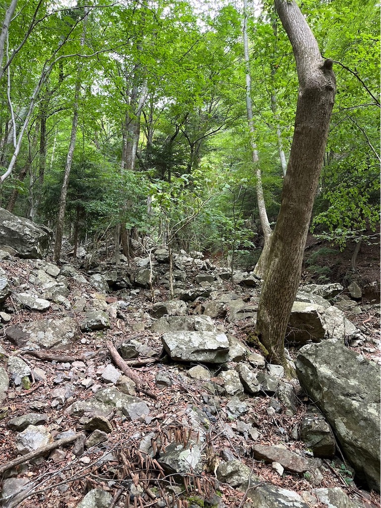 f:id:ivog:20241011082403j:image