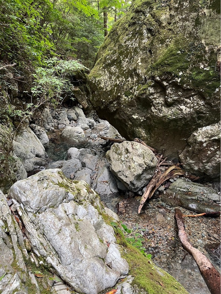 f:id:ivog:20241011082407j:image