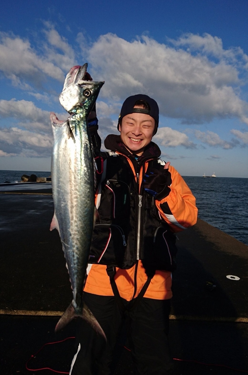 f:id:ivusatimes:20190325222408j:plain f:id:ivusatimes:20190325222408j:plain