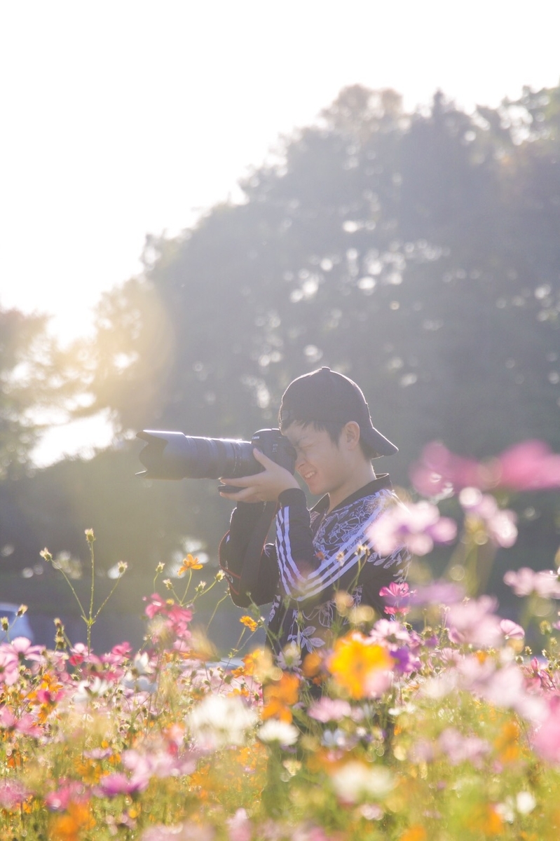 f:id:ivusatimes:20190325222702j:plain f:id:ivusatimes:20190325222702j:plain