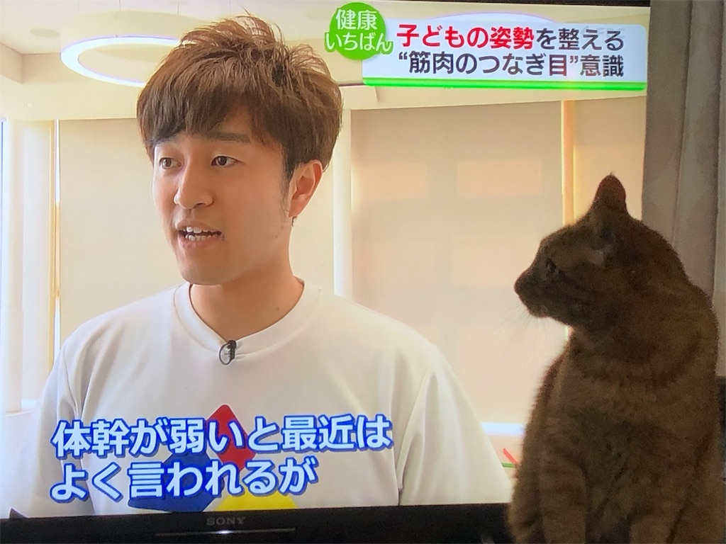 f:id:ivy2256m:20190418164541j:image