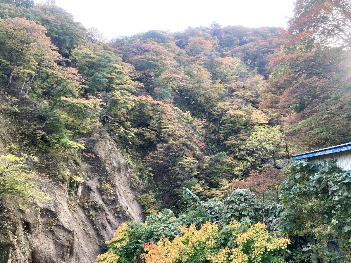 f:id:iwa18:20201028231855j:plain f:id:iwa18:20201028231855j:plain