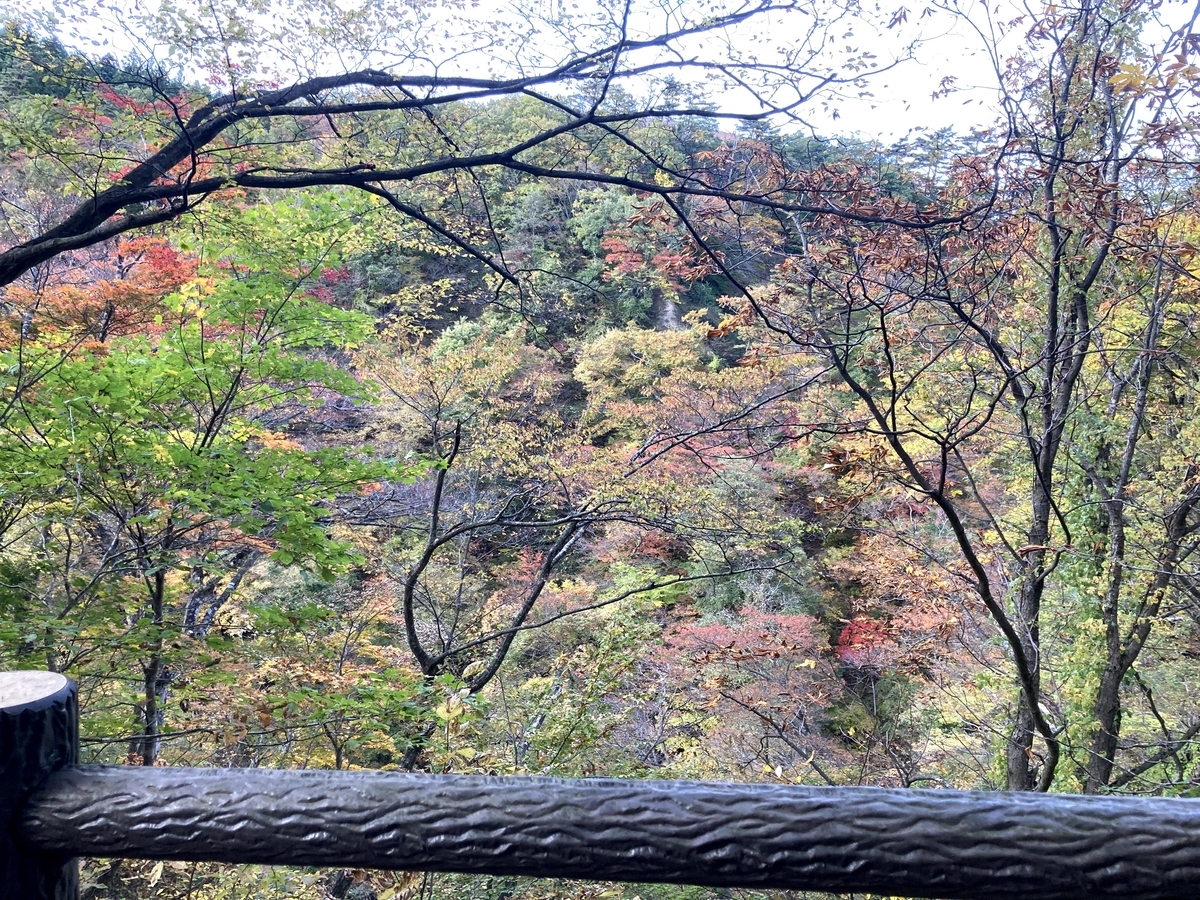 f:id:iwa18:20201028232030j:plain f:id:iwa18:20201028232030j:plain