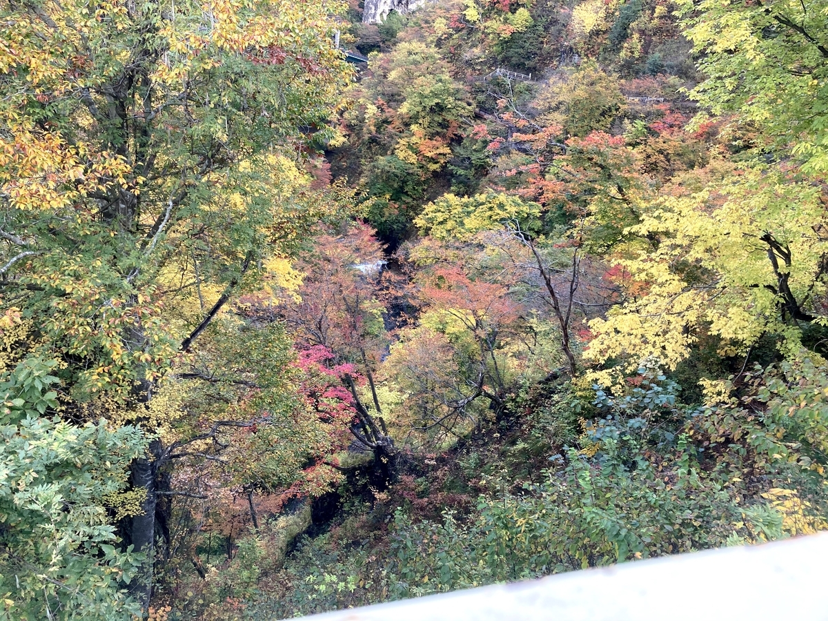 f:id:iwa18:20201028232153j:plain f:id:iwa18:20201028232153j:plain
