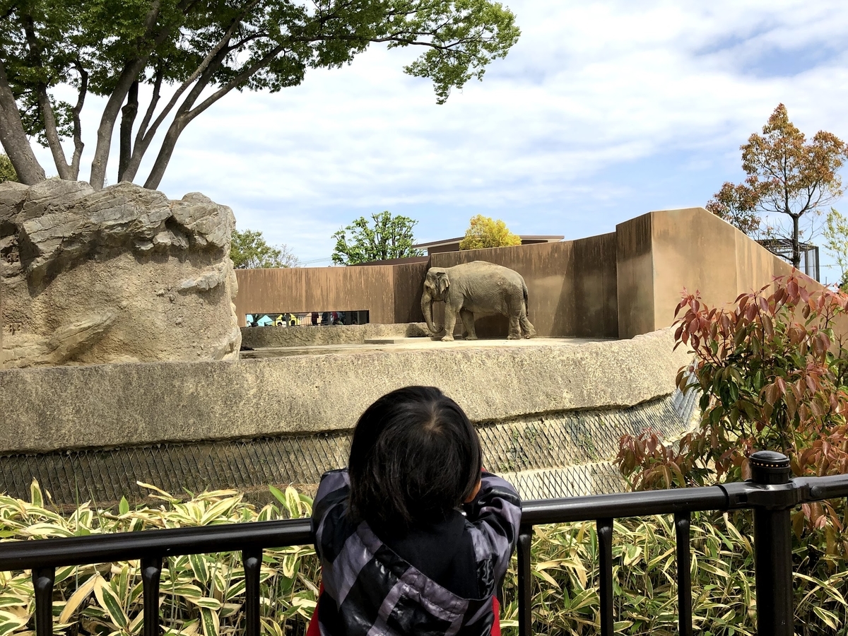 f:id:iwa92:20190506174114j:plain