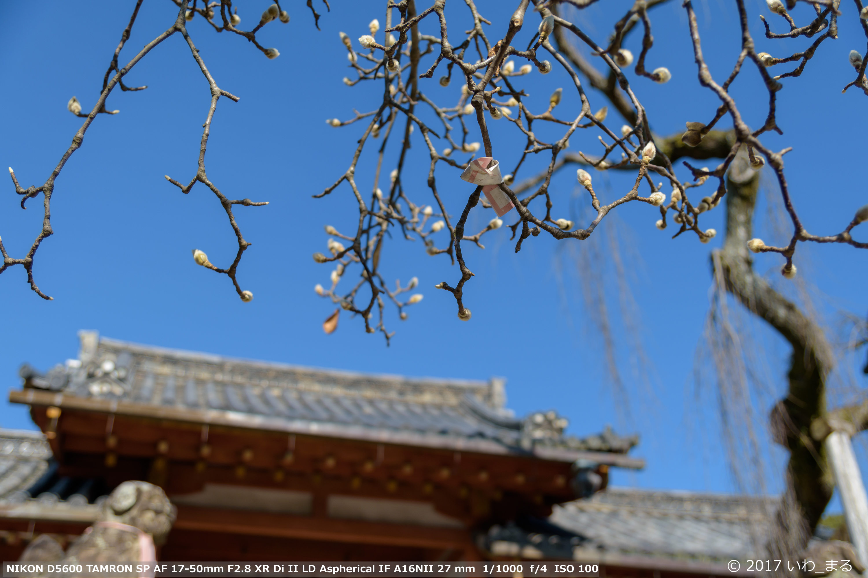 f:id:iwa_maru:20171225215345j:plain