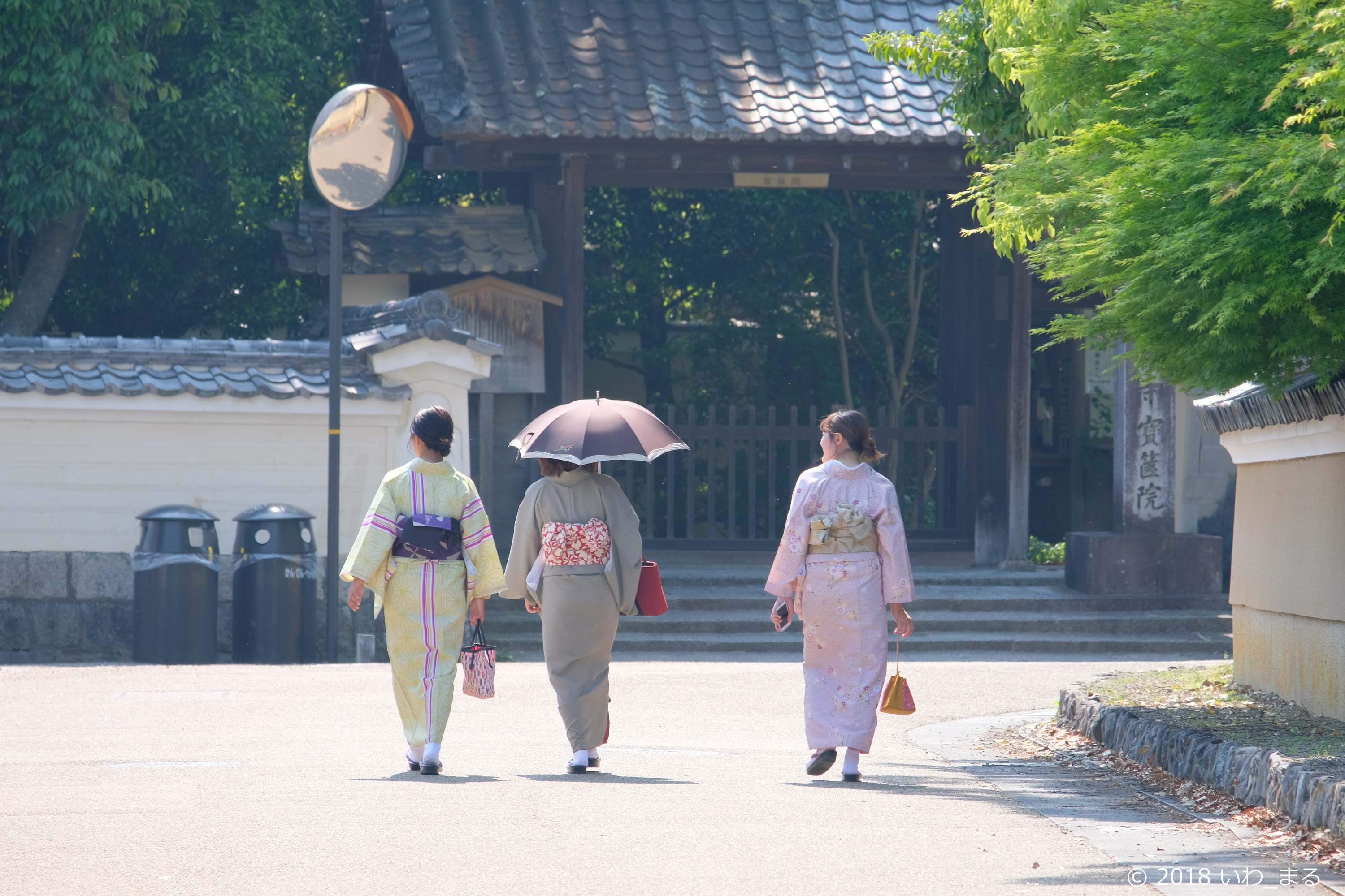 f:id:iwa_maru:20180507214245j:plain