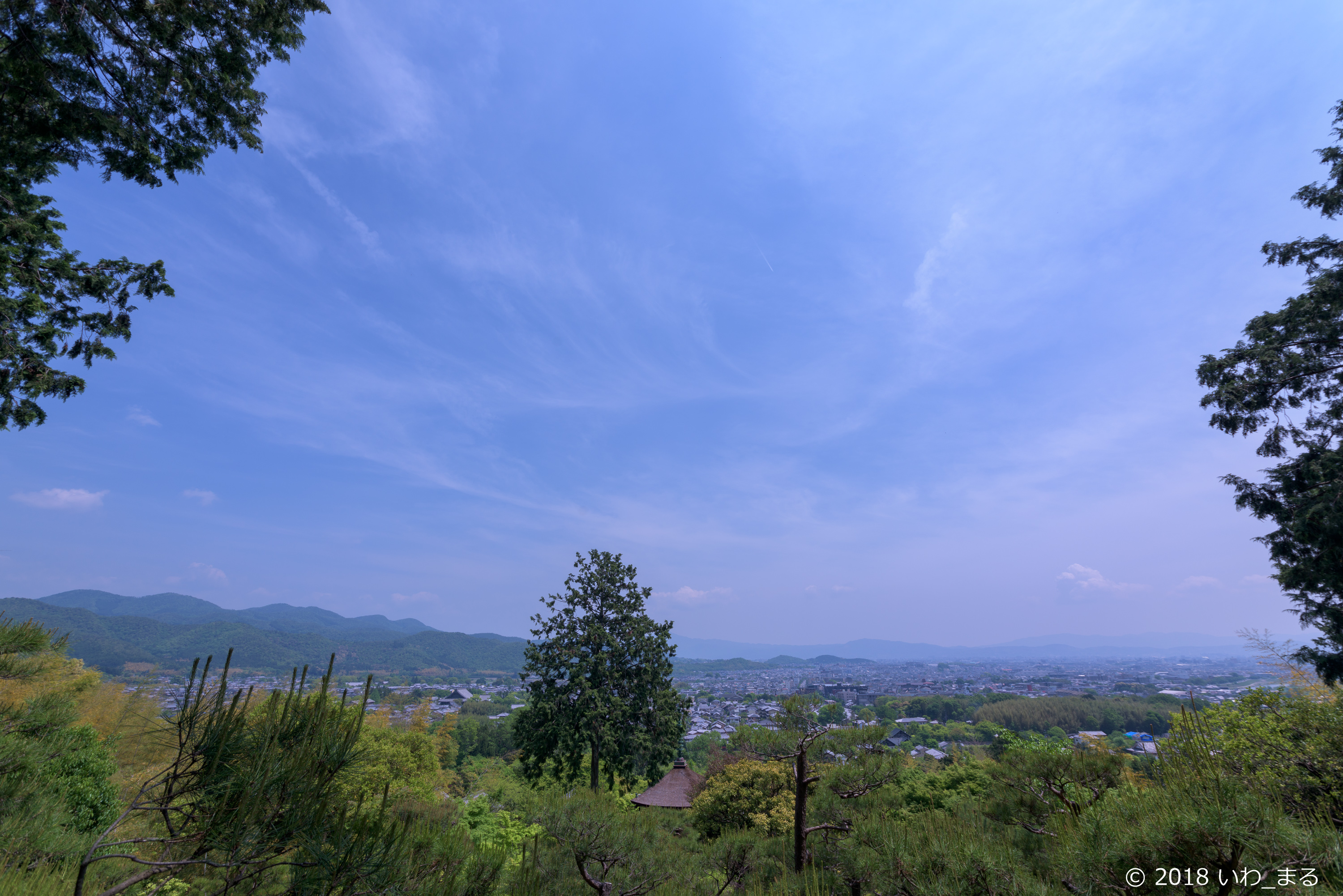f:id:iwa_maru:20180512205936j:plain