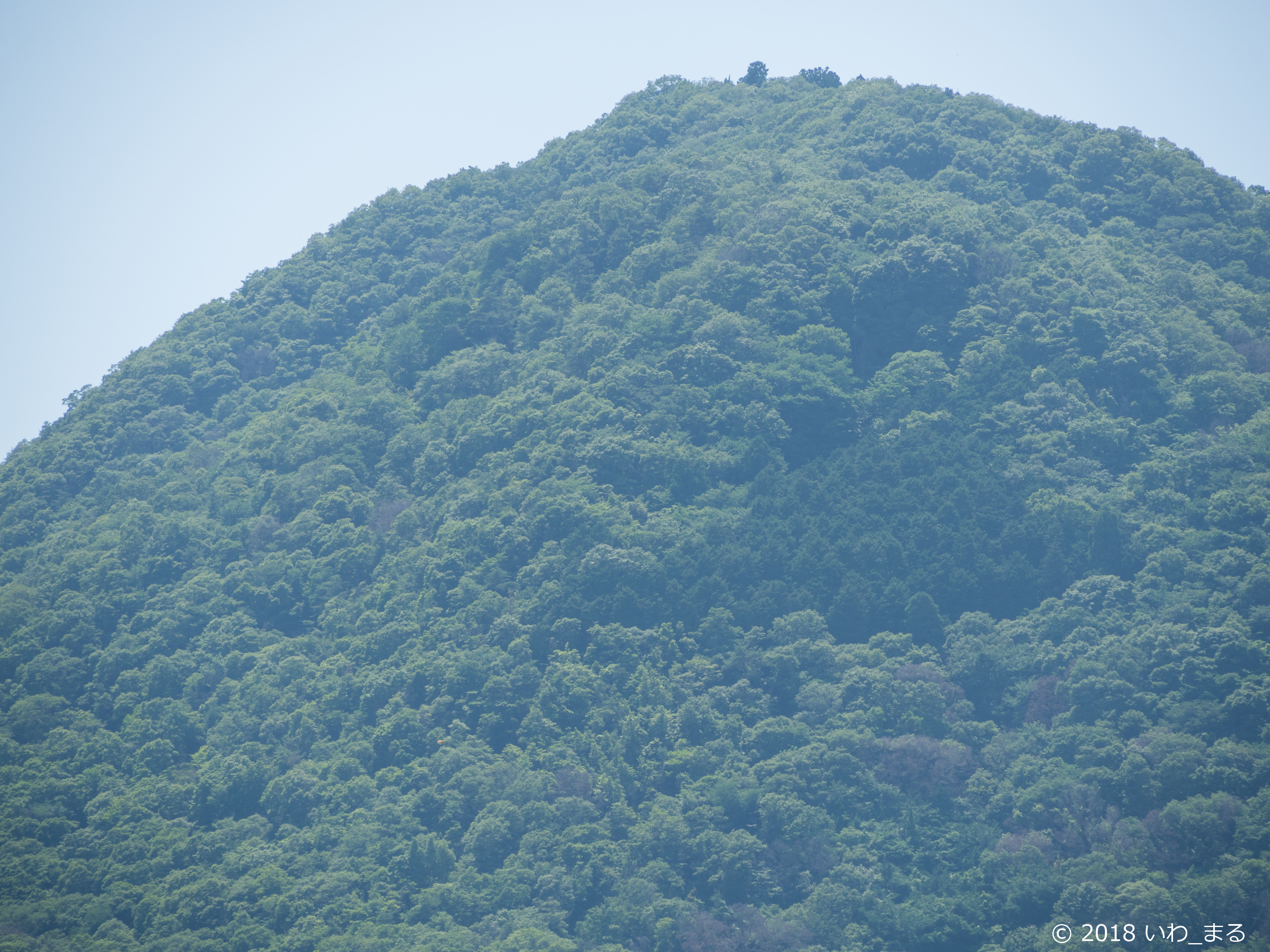 f:id:iwa_maru:20180609231445j:plain