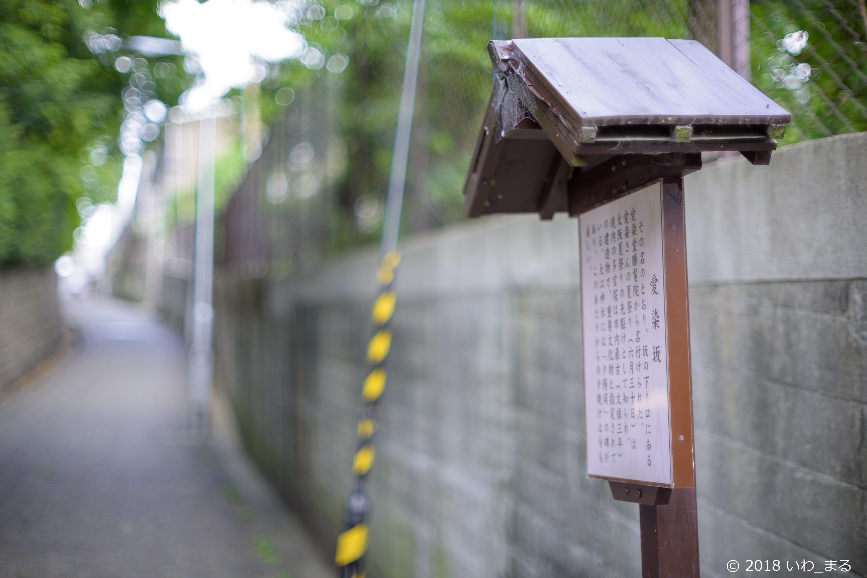 f:id:iwa_maru:20180714204147j:plain f:id:iwa_maru:20180714204147j:plain