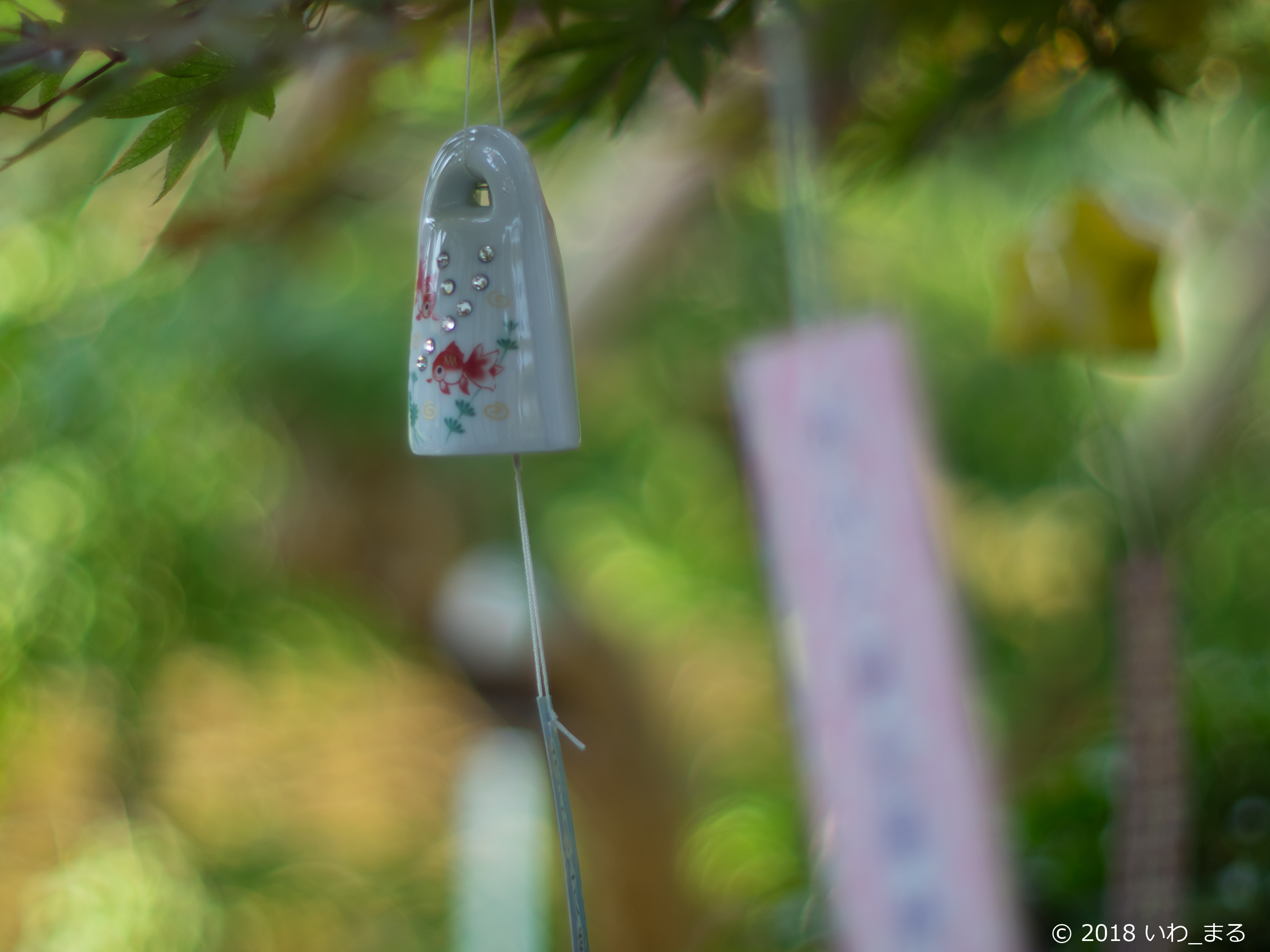 f:id:iwa_maru:20180715204429j:plain f:id:iwa_maru:20180715204429j:plain
