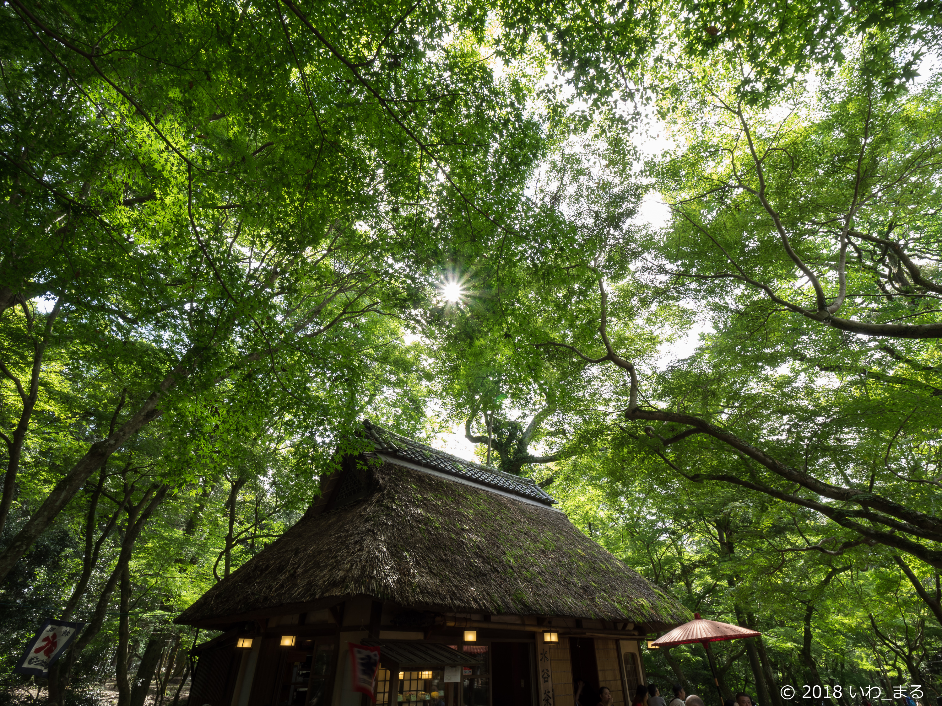 f:id:iwa_maru:20180929194926j:plain f:id:iwa_maru:20180929194926j:plain