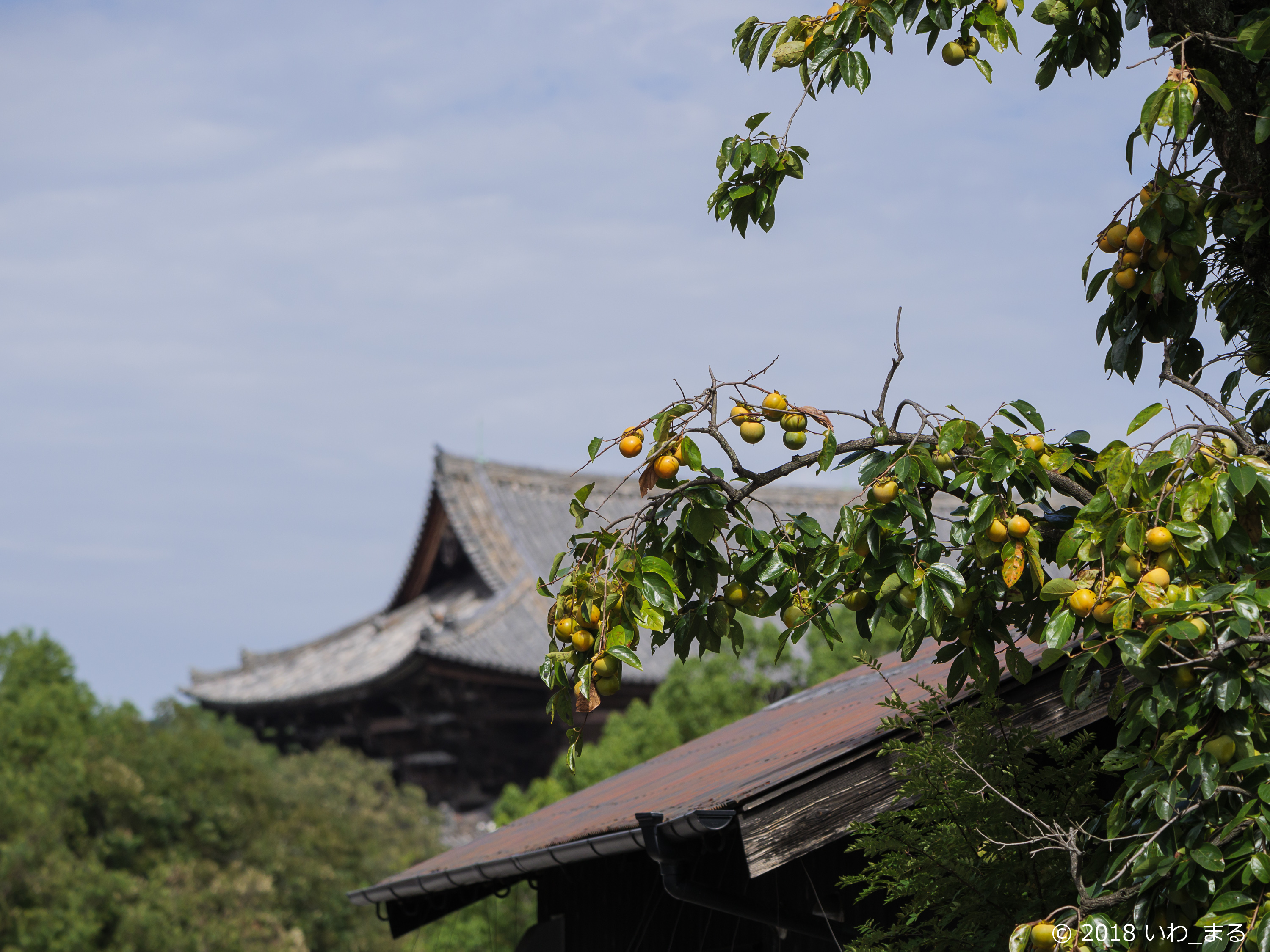 f:id:iwa_maru:20180929195119j:plain f:id:iwa_maru:20180929195119j:plain