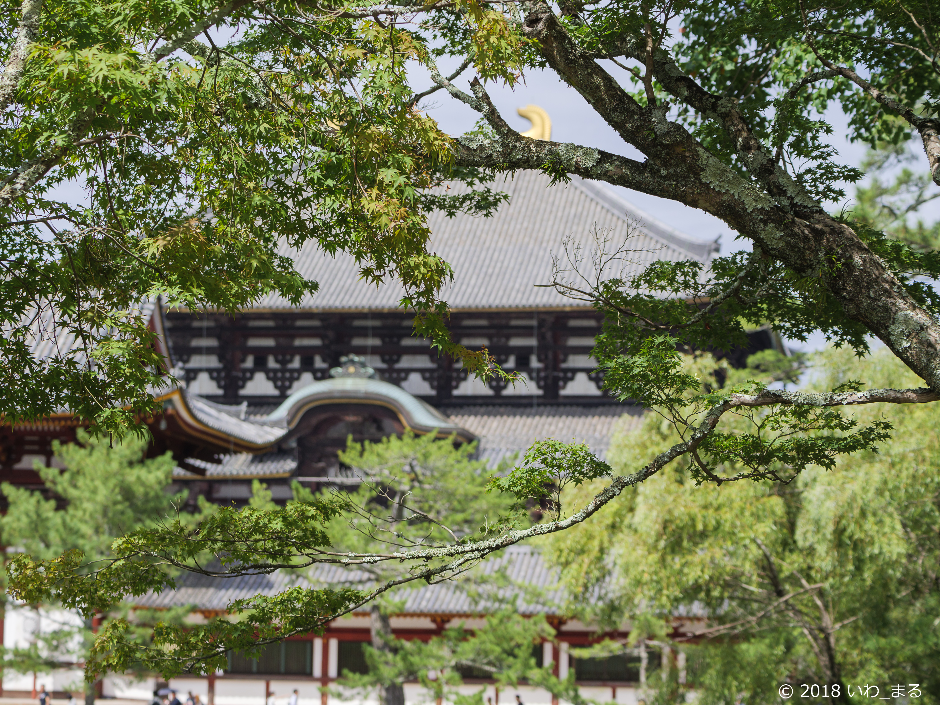 f:id:iwa_maru:20180929195329j:plain f:id:iwa_maru:20180929195329j:plain