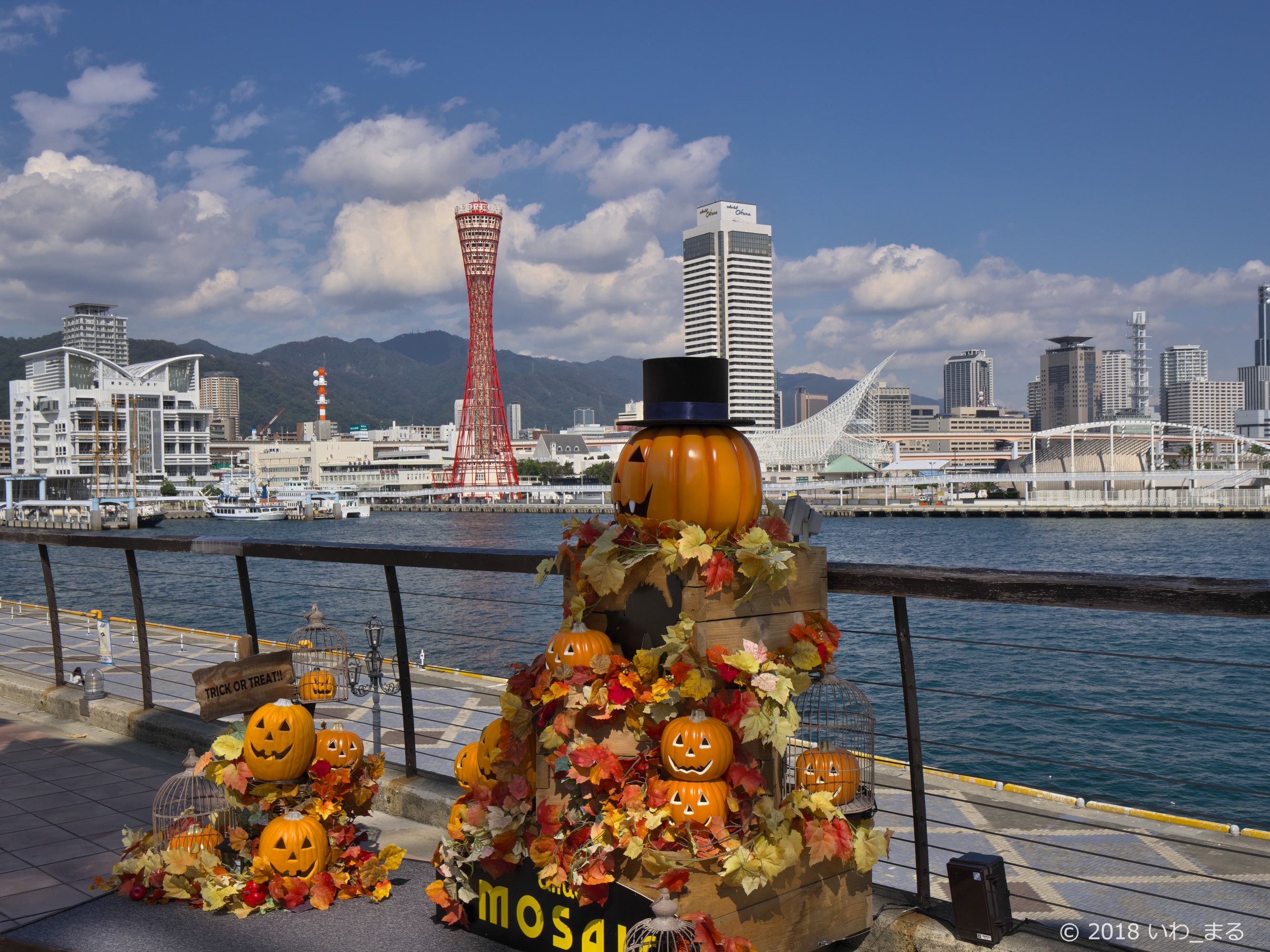 f:id:iwa_maru:20181028002408j:plain